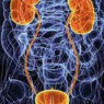 AROUND THE CORNER:Top Developments in Genitourinary Cancer Therapeutics