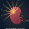 Stereotactic Body Radiotherapy for Primary Renal Tumors: Technological Evolution, Current Evidence and Practical Recommendations